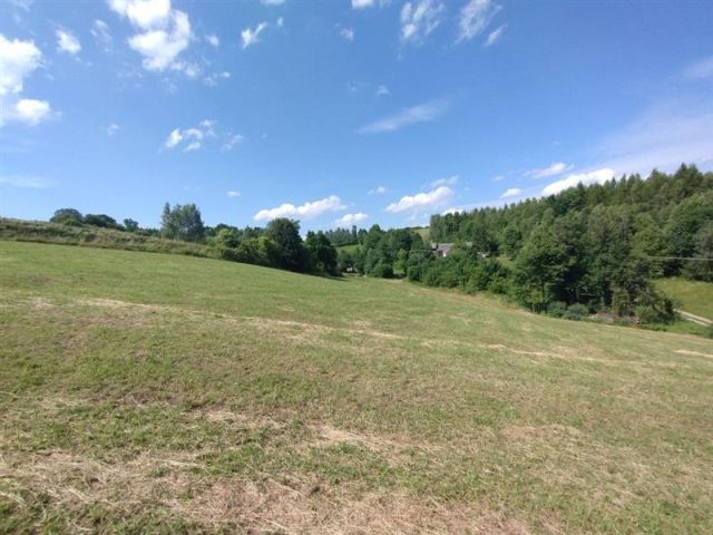 Działka rekreacyjna Binarowa Maślakowice, Maślakoice. Zdjęcie 1