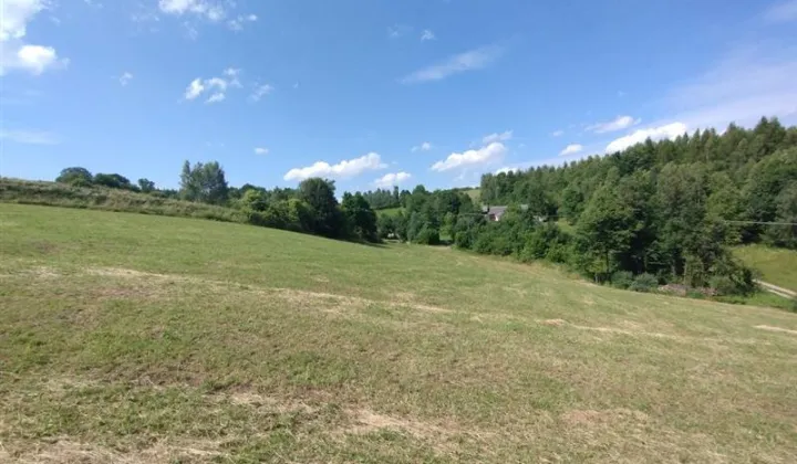 Działka rekreacyjna Binarowa Maślakowice, Maślakoice