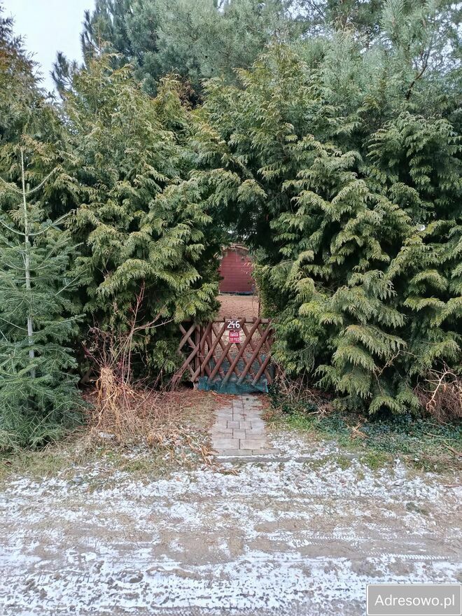 Działka rod Koninko. Zdjęcie 3