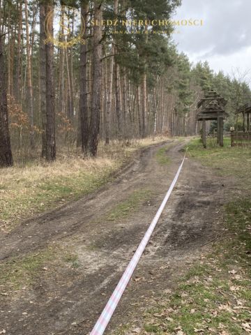 Działka budowlana Straszowice Żychlin. Zdjęcie 13