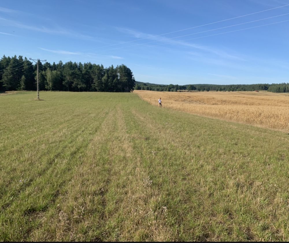 Działka budowlana Gdańsk Jasień