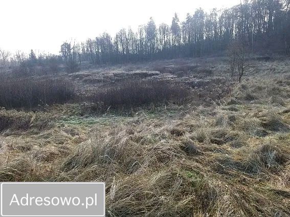 Działka rolna Kraków Krowodrza, ul. Starowolska