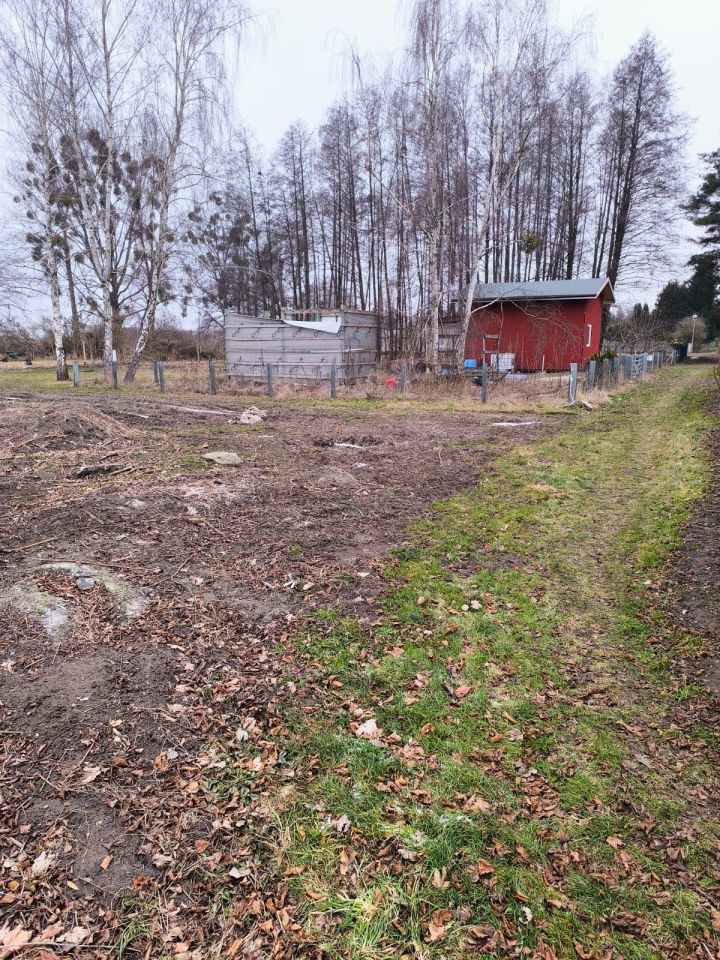 Działka rod Stęszew. Zdjęcie 2