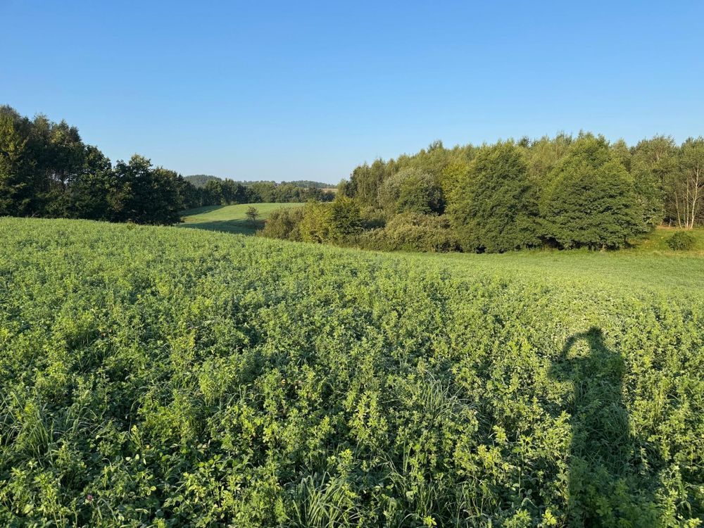 Działka budowlana Ramleje. Zdjęcie 7