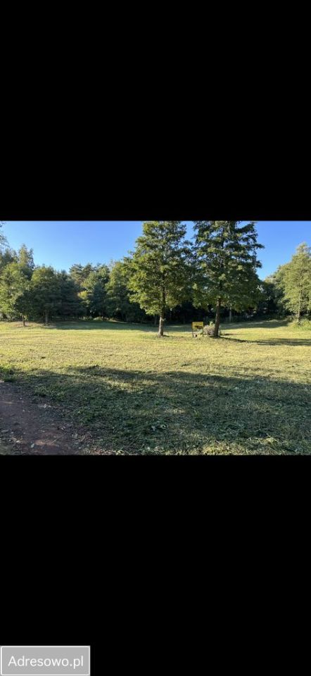 Działka budowlana Jedwabno. Zdjęcie 6