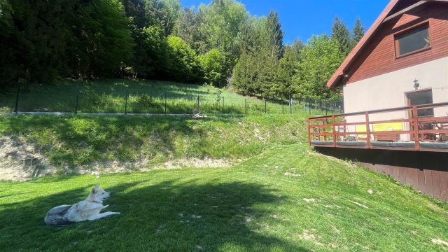 dom wolnostojący, 4 pokoje Krynica-Zdrój. Zdjęcie 4