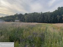 Działka rolno-budowlana Radziwiłłów. Zdjęcie 2