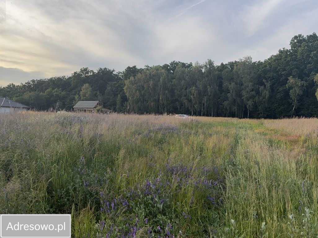 Działka rolno-budowlana Radziwiłłów. Zdjęcie 3