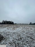 Działka budowlana Prawiedniki-Kolonia. Zdjęcie 2