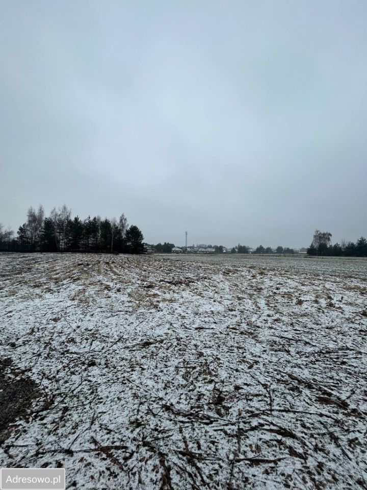 Działka budowlana Prawiedniki-Kolonia. Zdjęcie 3
