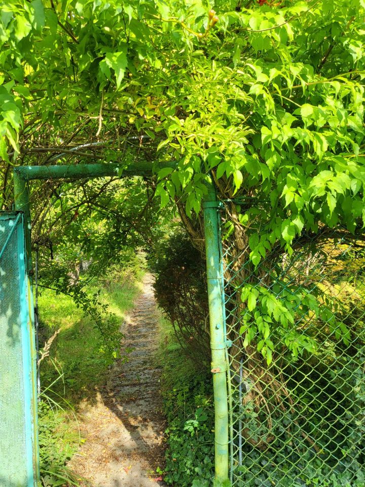 Działka rod Gliwice Sikornik, ul. Czapli. Zdjęcie 6