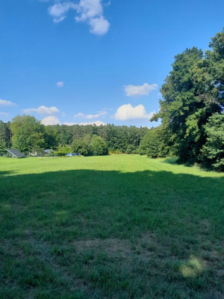 Działka budowlana Daniszyn. Zdjęcie 3