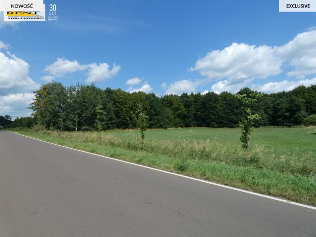 Działka budowlana Dębice. Zdjęcie 10