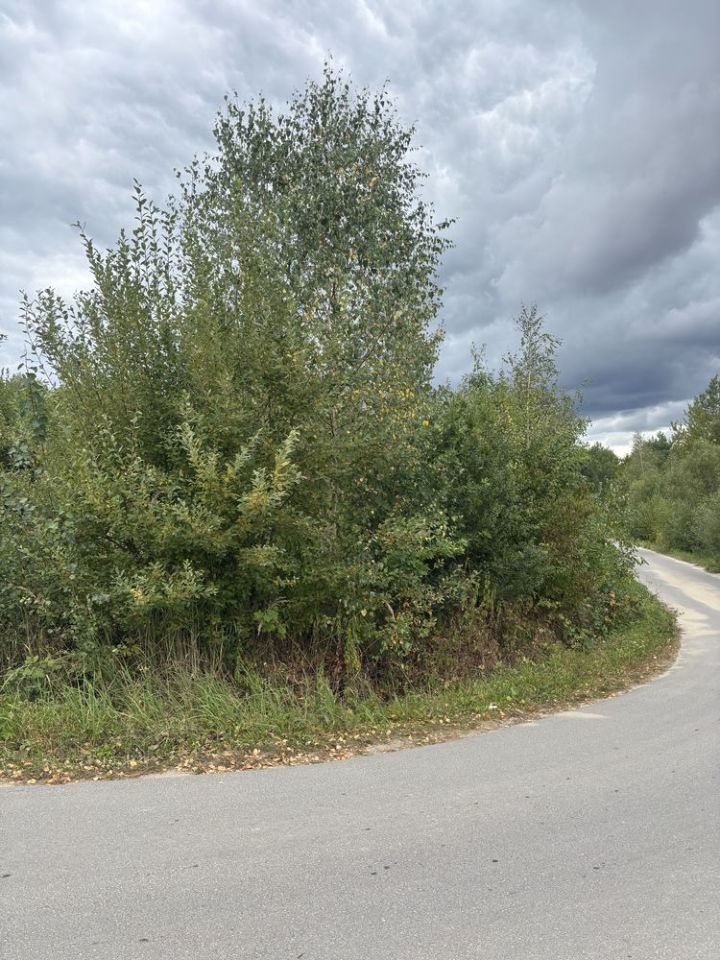 Działka budowlana Wola Łagowska. Zdjęcie 5