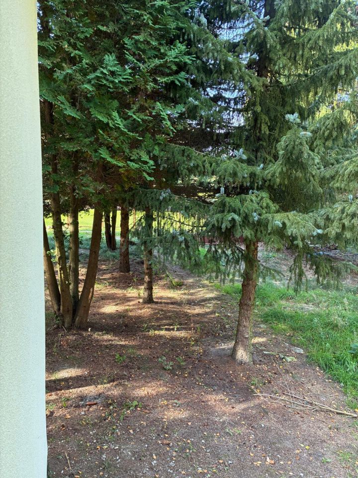 Działka budowlana Nowa Wieś, ul. Sasanki. Zdjęcie 17