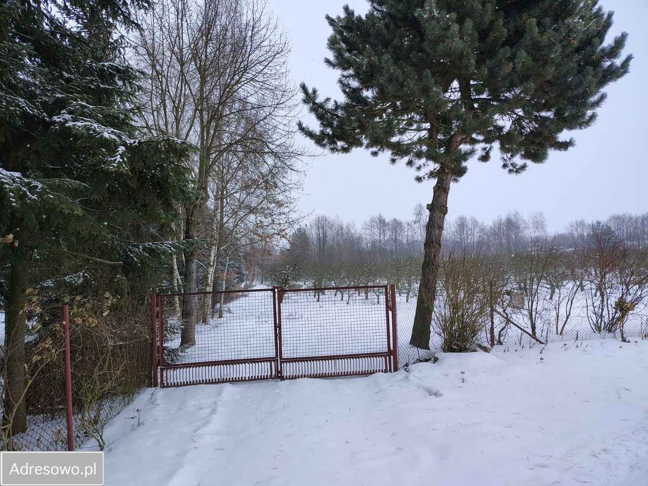 dom wolnostojący, 2 pokoje Przęsławice. Zdjęcie 7