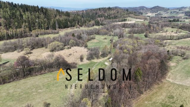 Działka budowlana Kamienna. Zdjęcie 4