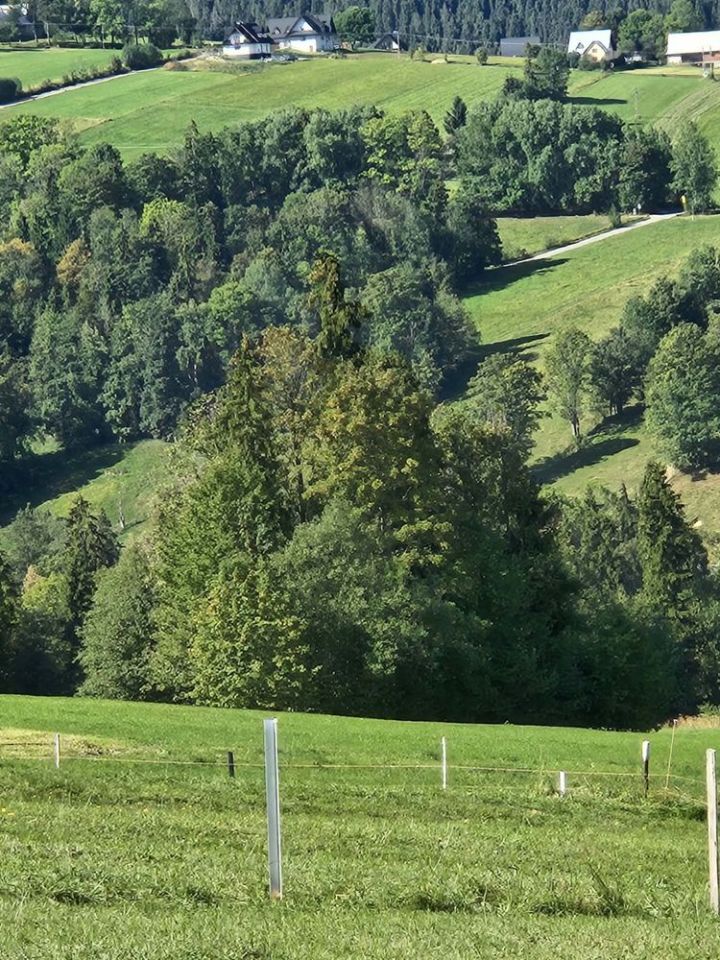 Działka budowlana Skrzypne. Zdjęcie 4