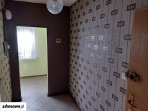 Mieszkanie 1-pokojowe Pabianice, ul. Mokra. Zdjęcie 1