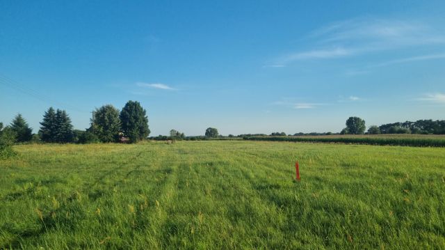 Działka rolna Łuszczewo. Zdjęcie 1