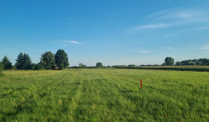 Działka rolna Łuszczewo