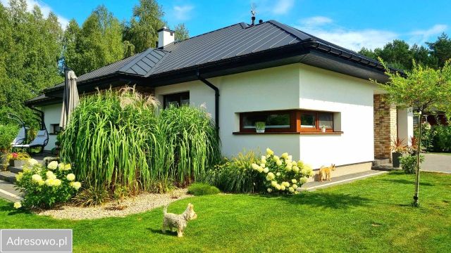 dom wolnostojący, 4 pokoje Serock. Zdjęcie 1