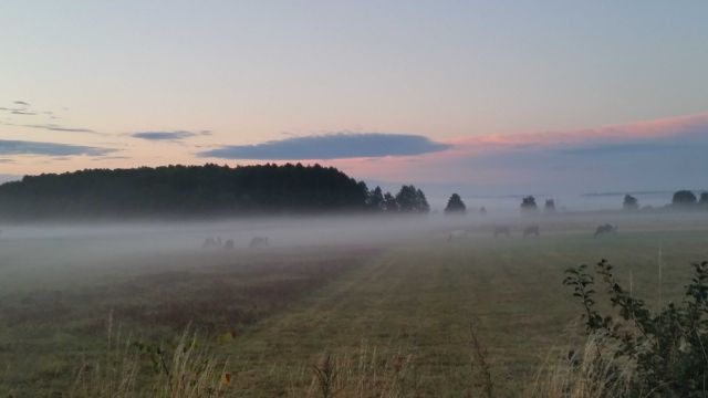 Działka budowlana Obrubniki. Zdjęcie 1