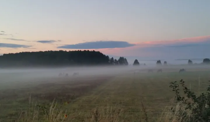 Działka budowlana Obrubniki