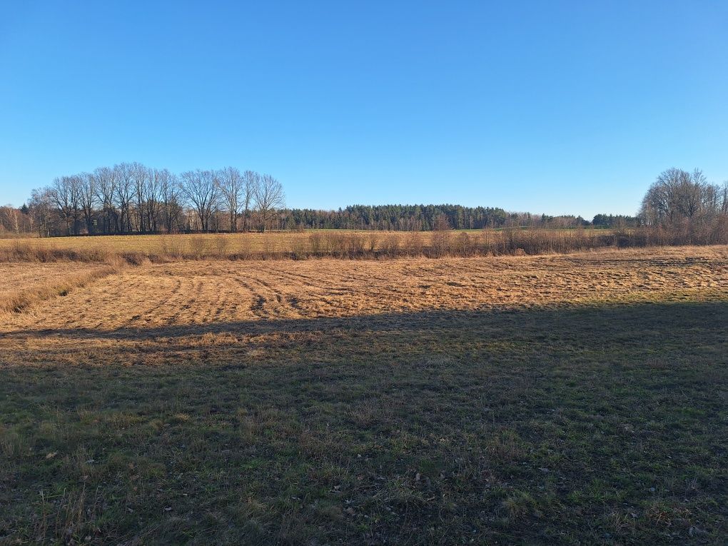 Działka rolna Kruszewiec. Zdjęcie 5