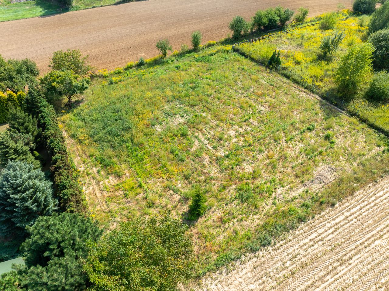 Działka budowlana Płouszowice-Kolonia. Zdjęcie 5