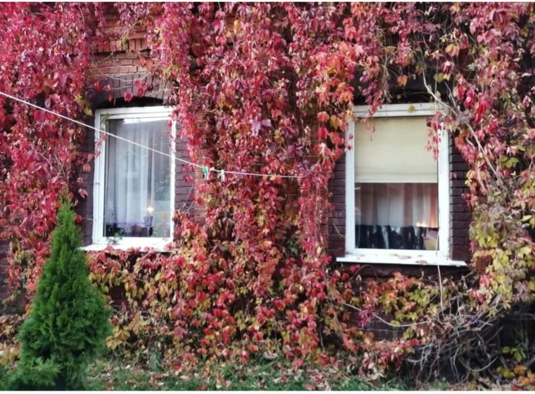 Mieszkanie 1-pokojowe Poznań Starołęka, ul. Żeglarska. Zdjęcie 10