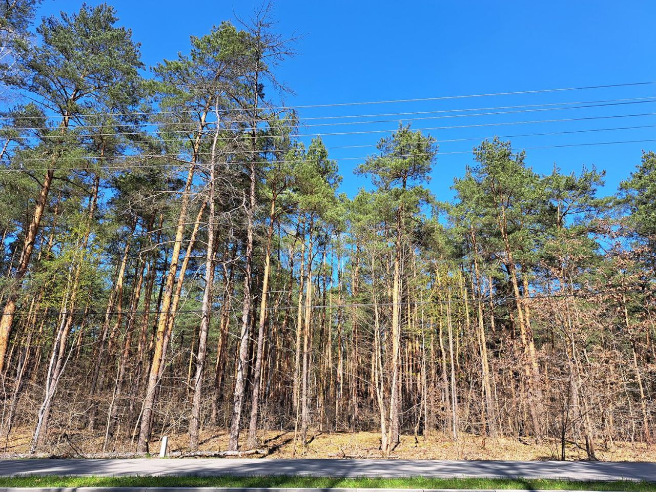 Działka budowlana Sulejówek Ratajewo, ul. Mariańska. Zdjęcie 9