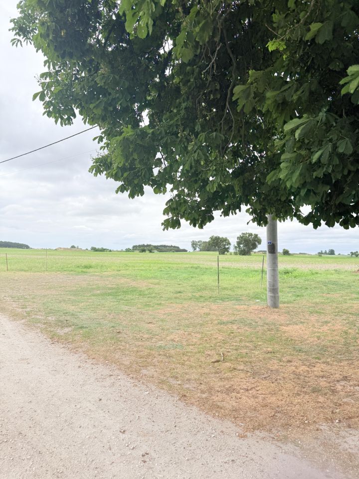 Działka rolno-budowlana Jerzyce. Zdjęcie 8