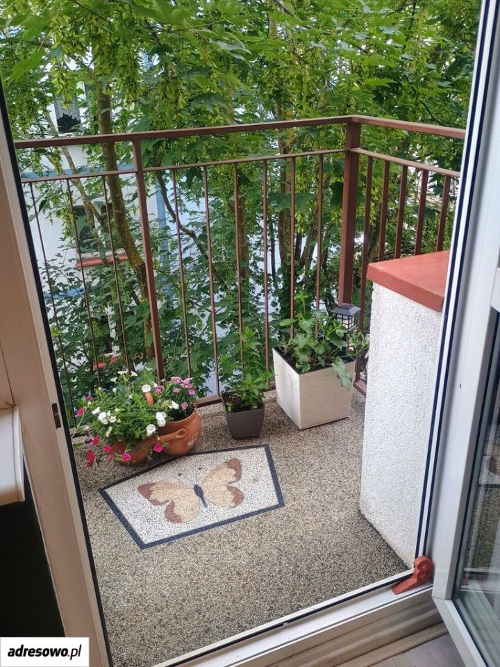 Mieszkanie 2-pokojowe Koszalin Centrum. Zdjęcie 12
