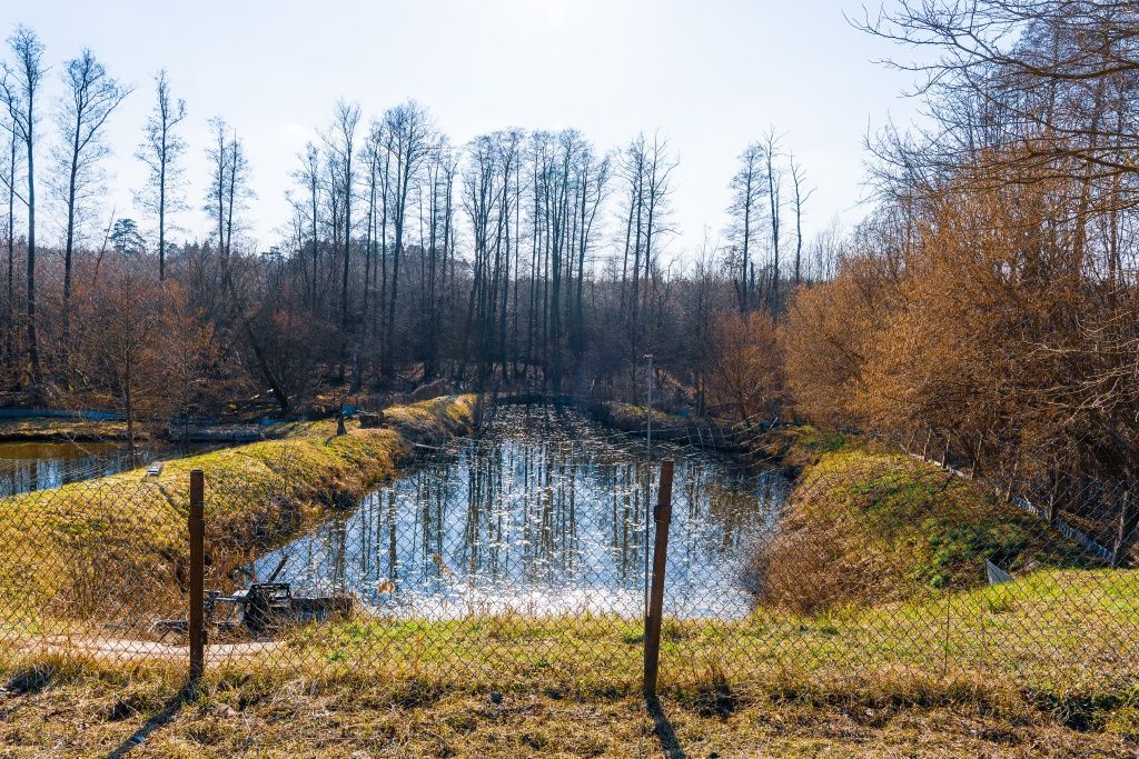 dom wolnostojący Korytów, ul. Główna. Zdjęcie 2