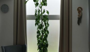 dom wolnostojący Wałcz, os. Stefana Batorego