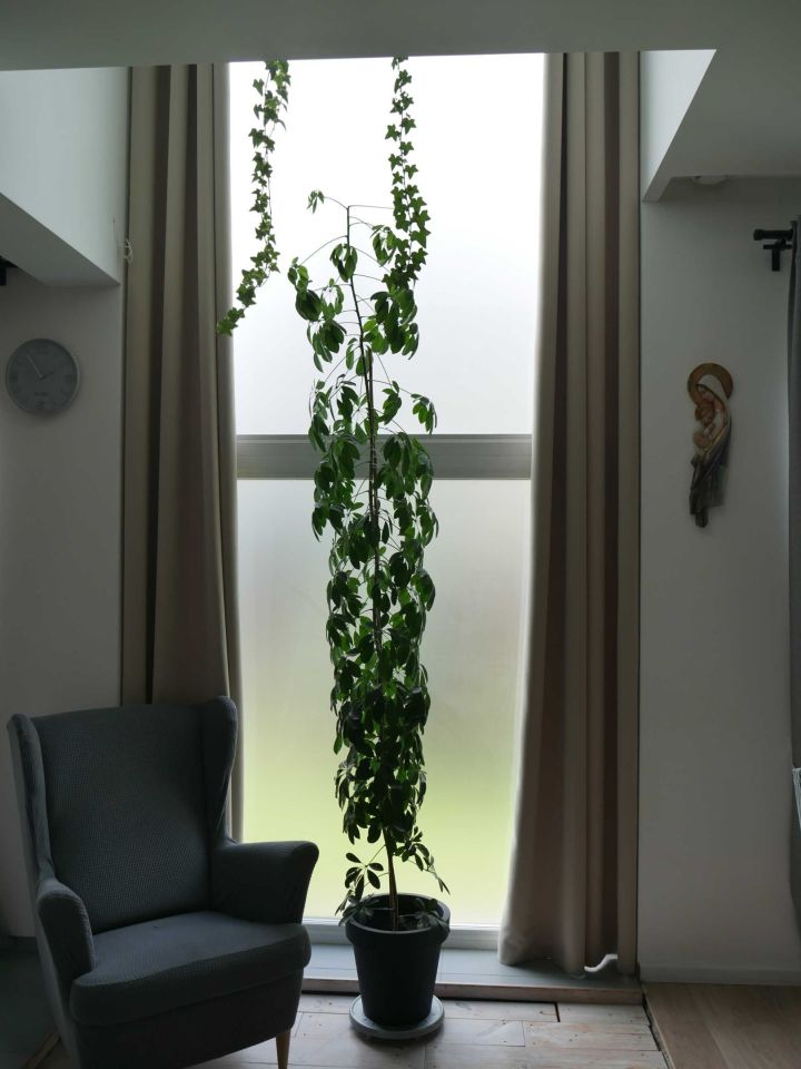 dom wolnostojący Wałcz, os. Stefana Batorego. Zdjęcie 2