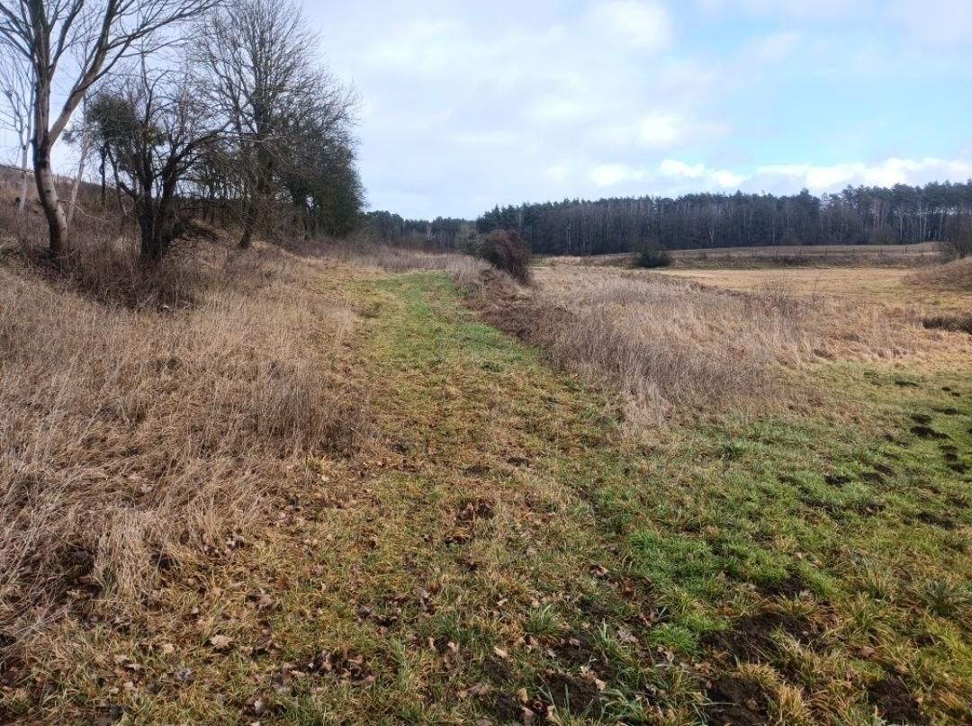 Działka rolna Grzymiradz. Zdjęcie 7