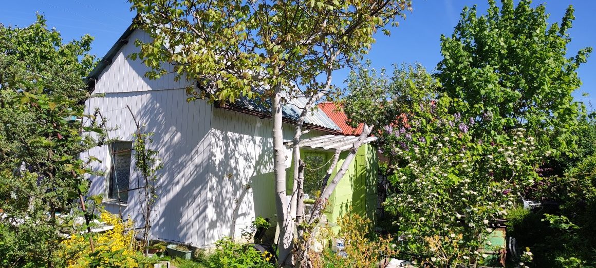 Działka rod Szczecin Płonia, ul. Senna. Zdjęcie 5