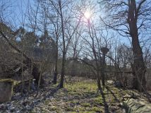 Działka siedliskowa Kuczki. Zdjęcie 1