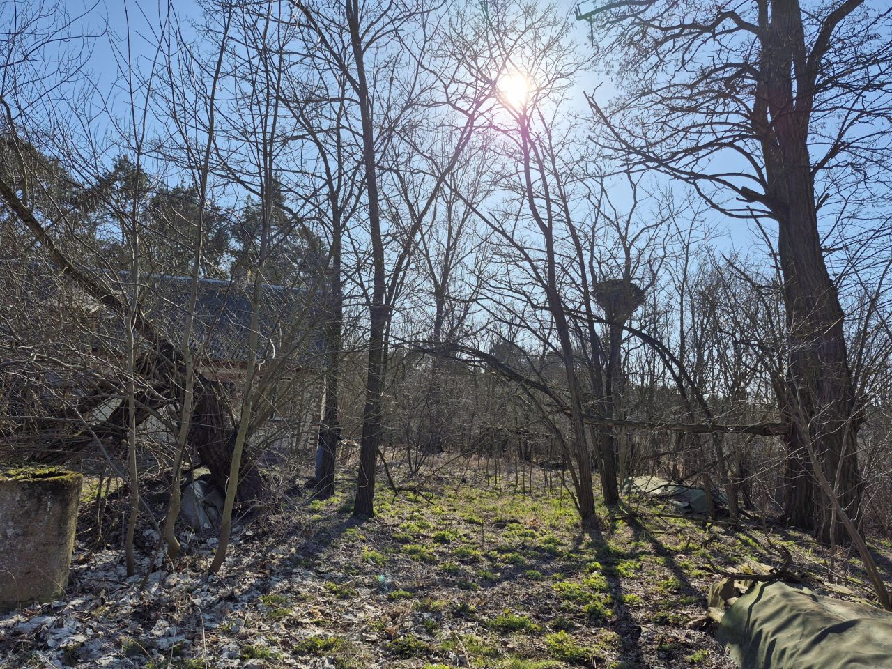 Działka siedliskowa Kuczki. Zdjęcie 2