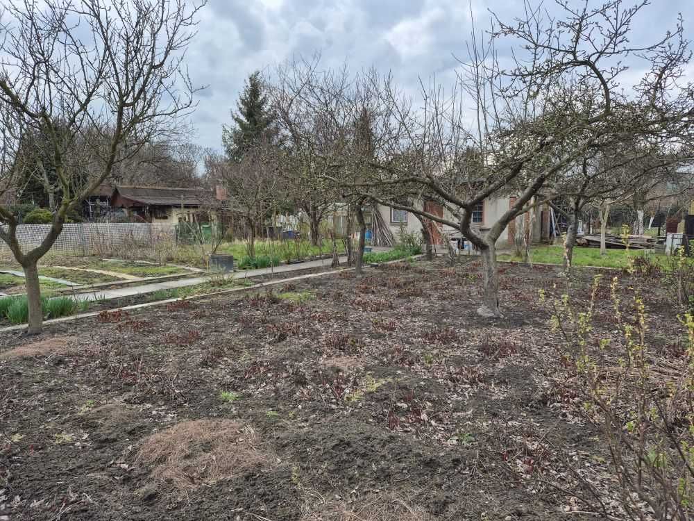 Działka rod Gliwice Trynek, ul. Liliowa. Zdjęcie 3