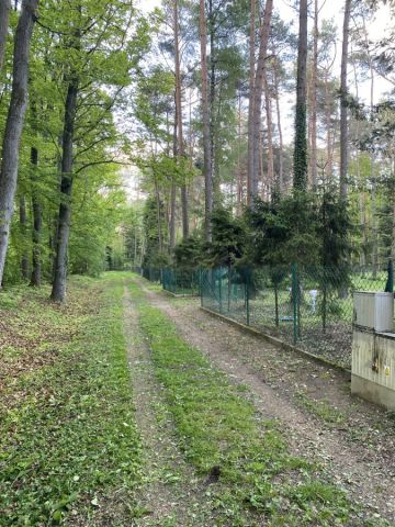 Działka budowlana Czyżemin. Zdjęcie 8