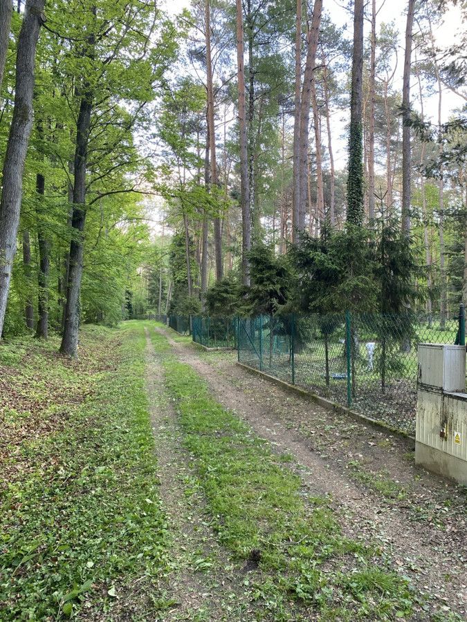 Działka budowlana Czyżemin. Zdjęcie 8