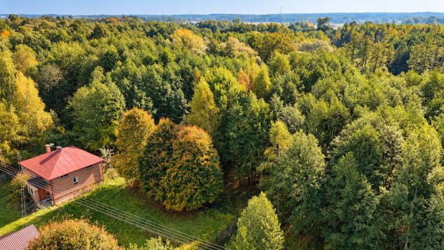 Działka siedliskowa Kupno. Zdjęcie 5