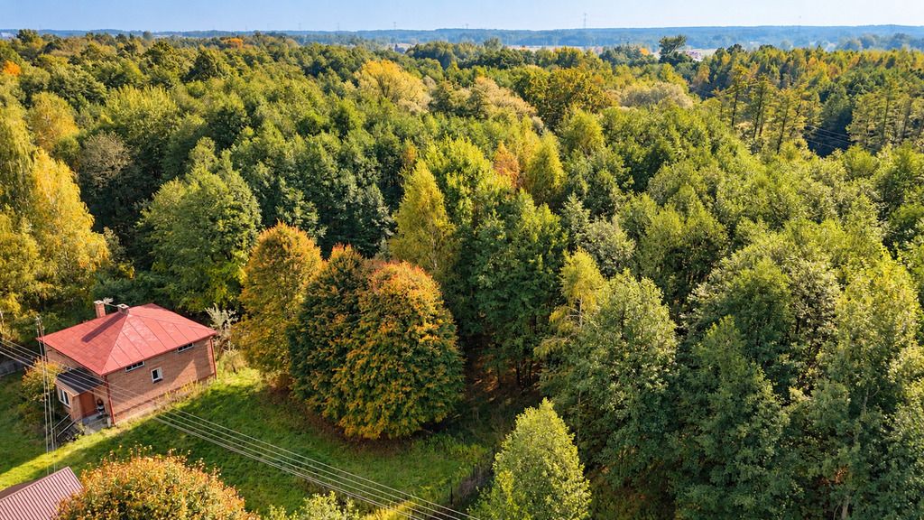 Działka siedliskowa Kupno. Zdjęcie 5