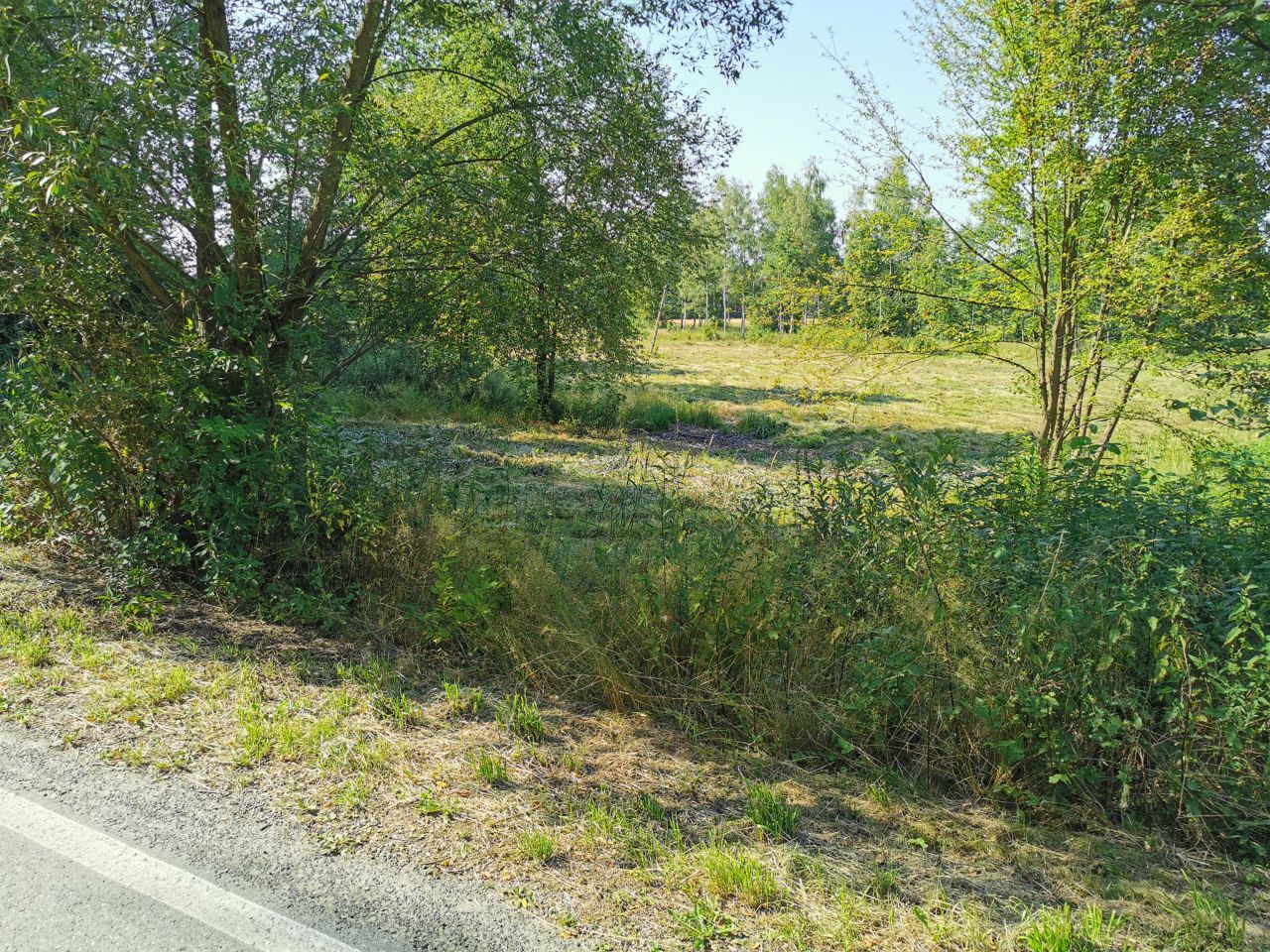 Działka rolno-budowlana Kobyle Kącina. Zdjęcie 2