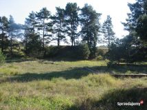 Działka rekreacyjna Martiany. Zdjęcie 4