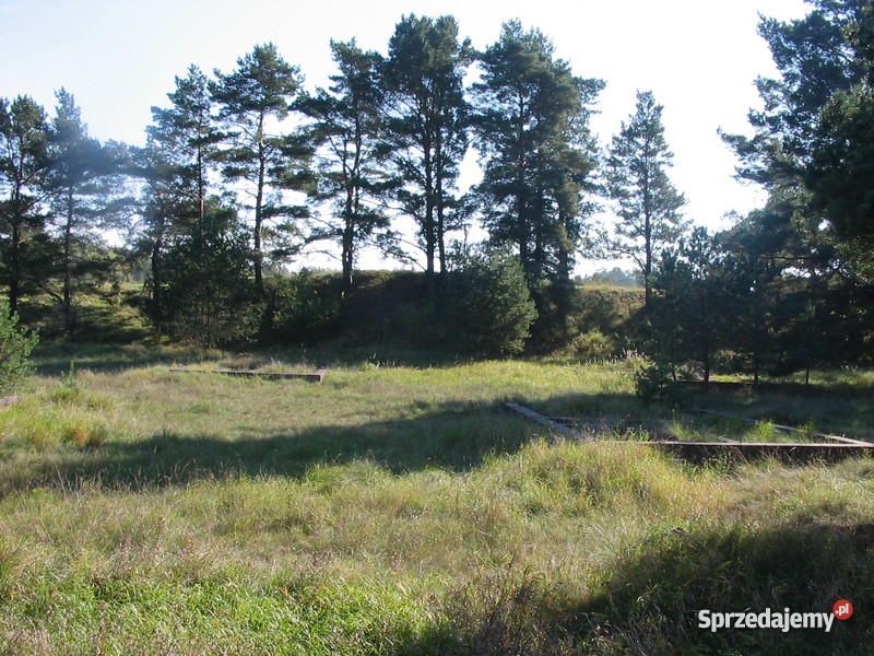 Działka rekreacyjna Martiany. Zdjęcie 5