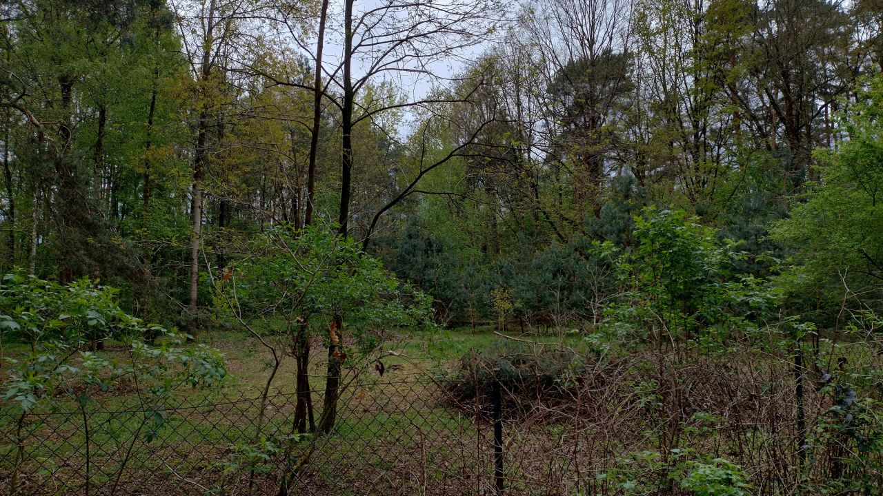 Działka budowlana Zofiówka, ul. Cmentarna. Zdjęcie 12